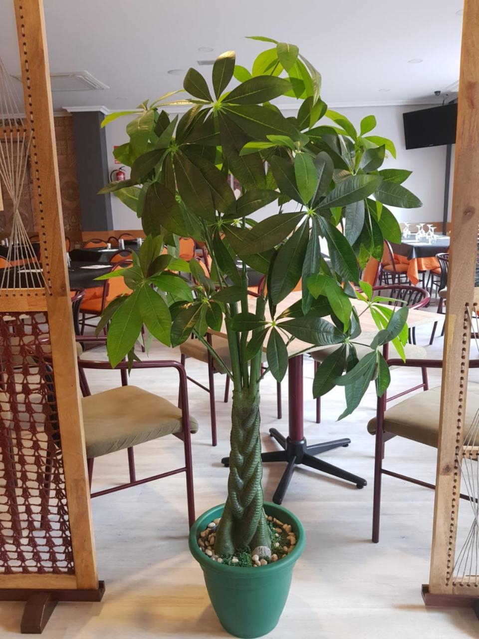 Hostal Restaurante El Abuelo Trobajo Del Camino Exteriör bild